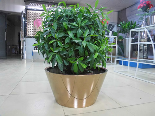廣東汕頭不銹鋼花盆哪家做的好？